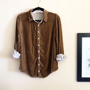 Cp shades brown romy Velvet top